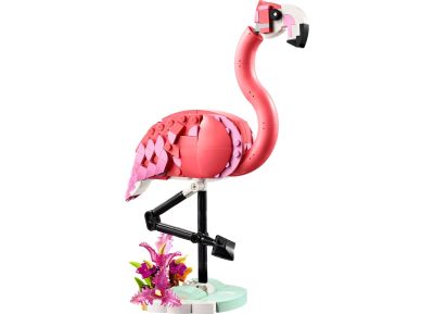 Wild Animals: Pink Flamingo